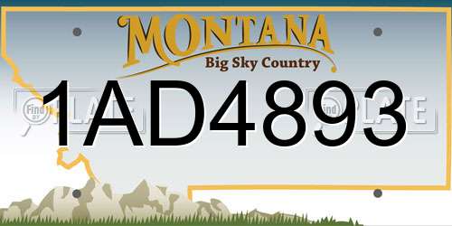 1AD4893 Montana License Plate