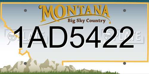 1AD5422 Montana License Plate