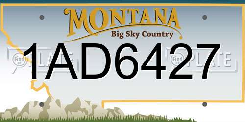 1AD6427 Montana License Plate