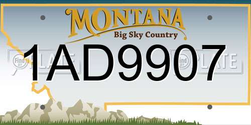 1AD9907 Montana License Plate