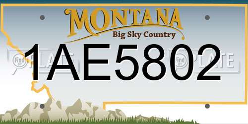 1AE5802 Montana License Plate