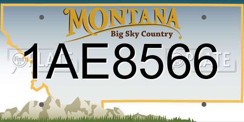 1AE8566 Montana License Plate