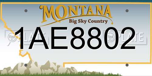 1AE8802 Montana License Plate