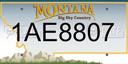 1AE8807 Montana License Plate