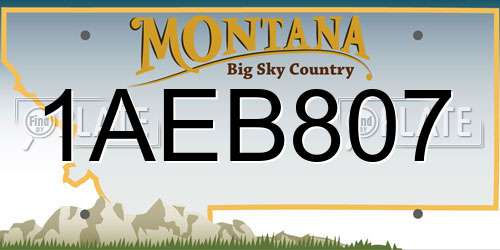 1AEB807 Montana License Plate