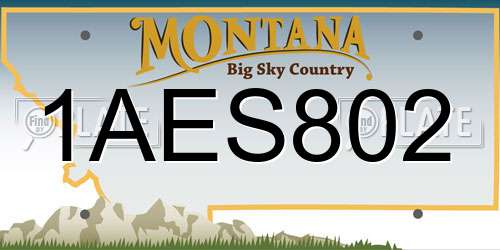 1AES802 Montana License Plate