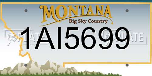 1AI5699 Montana License Plate