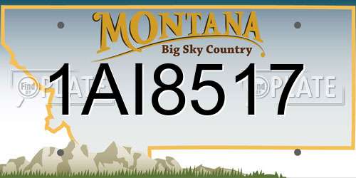 1AI8517 Montana License Plate