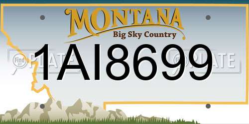 1AI8699 Montana License Plate
