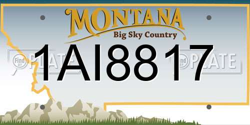 1AI8817 Montana License Plate