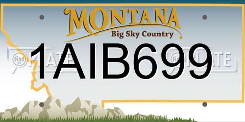 1AIB699 Montana License Plate
