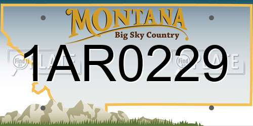 1AR0229 Montana License Plate