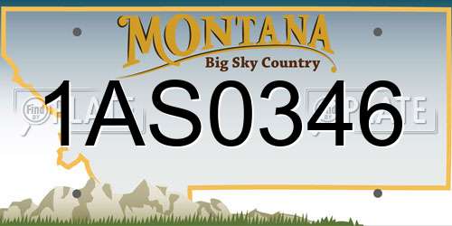 1AS0346 Montana License Plate