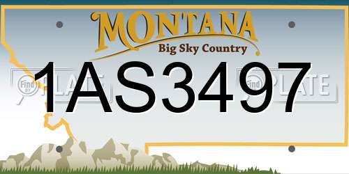 1AS3497 Montana License Plate