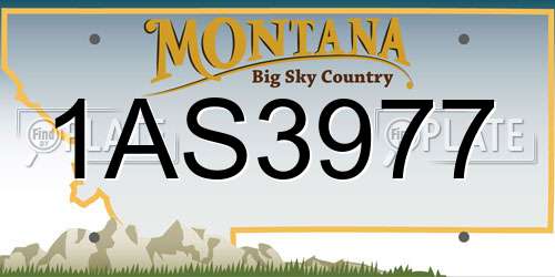 1AS3977 Montana License Plate