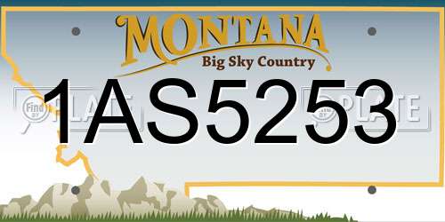 1AS5253 Montana License Plate