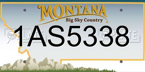 1AS5338 Montana License Plate