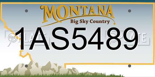 1AS5489 Montana License Plate