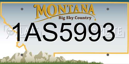 1AS5993 Montana License Plate