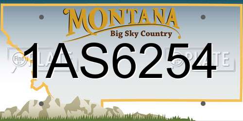 1AS6254 Montana License Plate