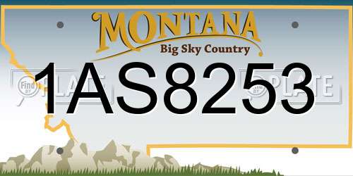 1AS8253 Montana License Plate
