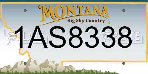 1AS8338 Montana License Plate