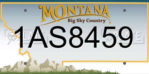 1AS8459 Montana License Plate