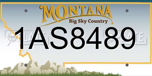1AS8489 Montana License Plate