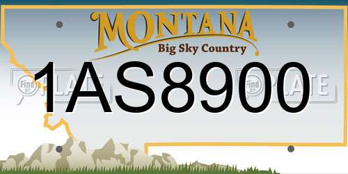 1AS8900 Montana License Plate