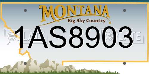 1AS8903 Montana License Plate
