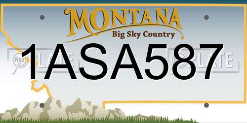 1ASA587 Montana License Plate