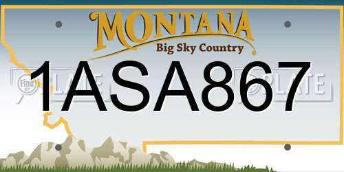 1ASA867 Montana License Plate