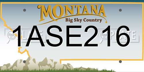 1ASE216 Montana License Plate