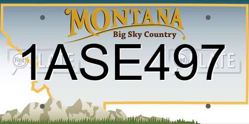1ASE497 Montana License Plate