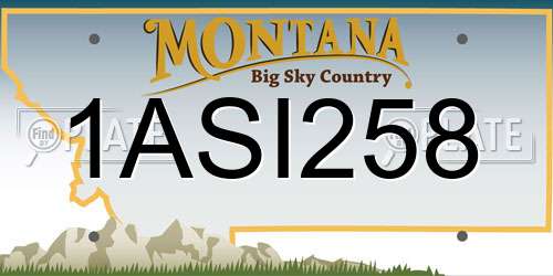 1ASI258 Montana License Plate