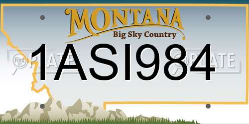 1ASI984 Montana License Plate