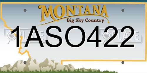 1ASO422 Montana License Plate