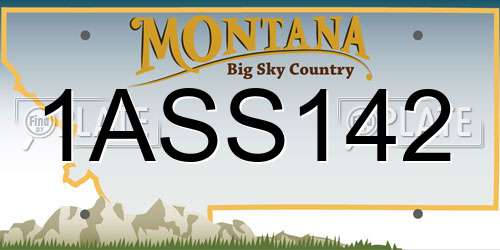 1ASS142 Montana License Plate