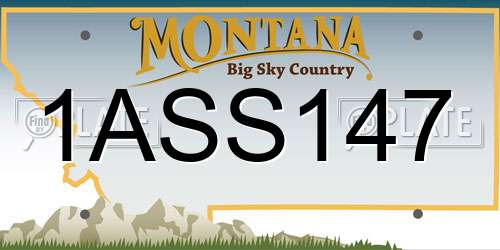 1ASS147 Montana License Plate