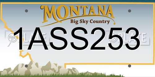 1ASS253 Montana License Plate