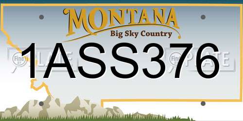 1ASS376 Montana License Plate