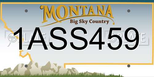 1ASS459 Montana License Plate