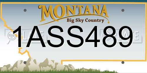 1ASS489 Montana License Plate