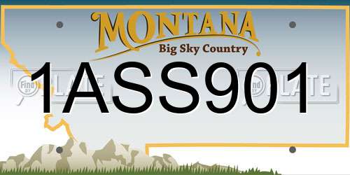 1ASS901 Montana License Plate