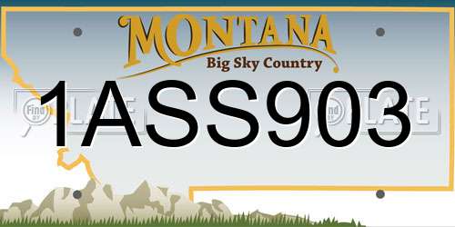 1ASS903 Montana License Plate