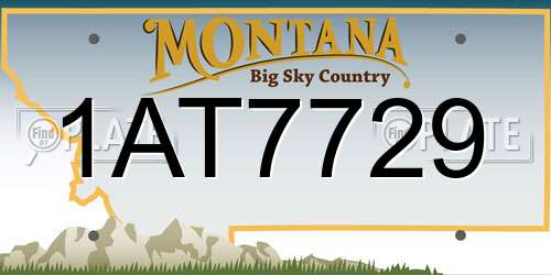 1AT7729 Montana License Plate