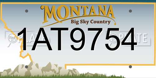 1AT9754 Montana License Plate