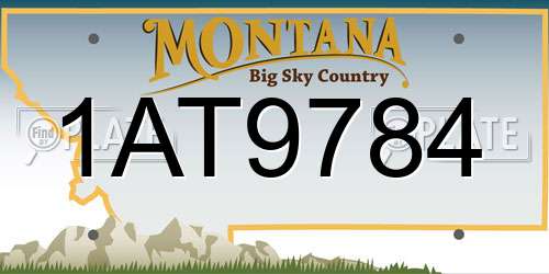 1AT9784 Montana License Plate