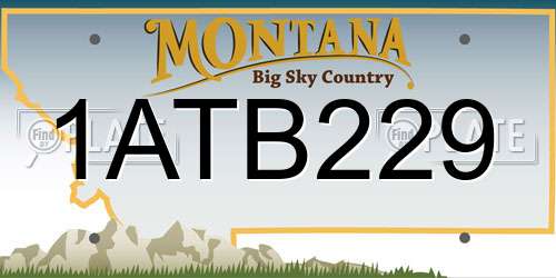 1ATB229 Montana License Plate
