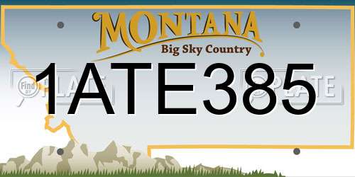 1ATE385 Montana License Plate